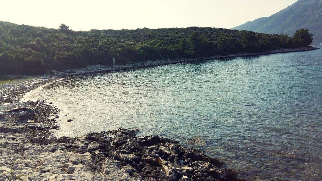 Ivana Apartment Korcula Town Luaran gambar